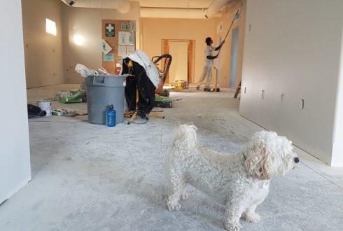 بازسازی منازل